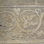DSCN0661