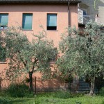 DSCN0901