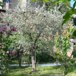 DSCN0903