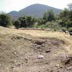 Fig_ 7