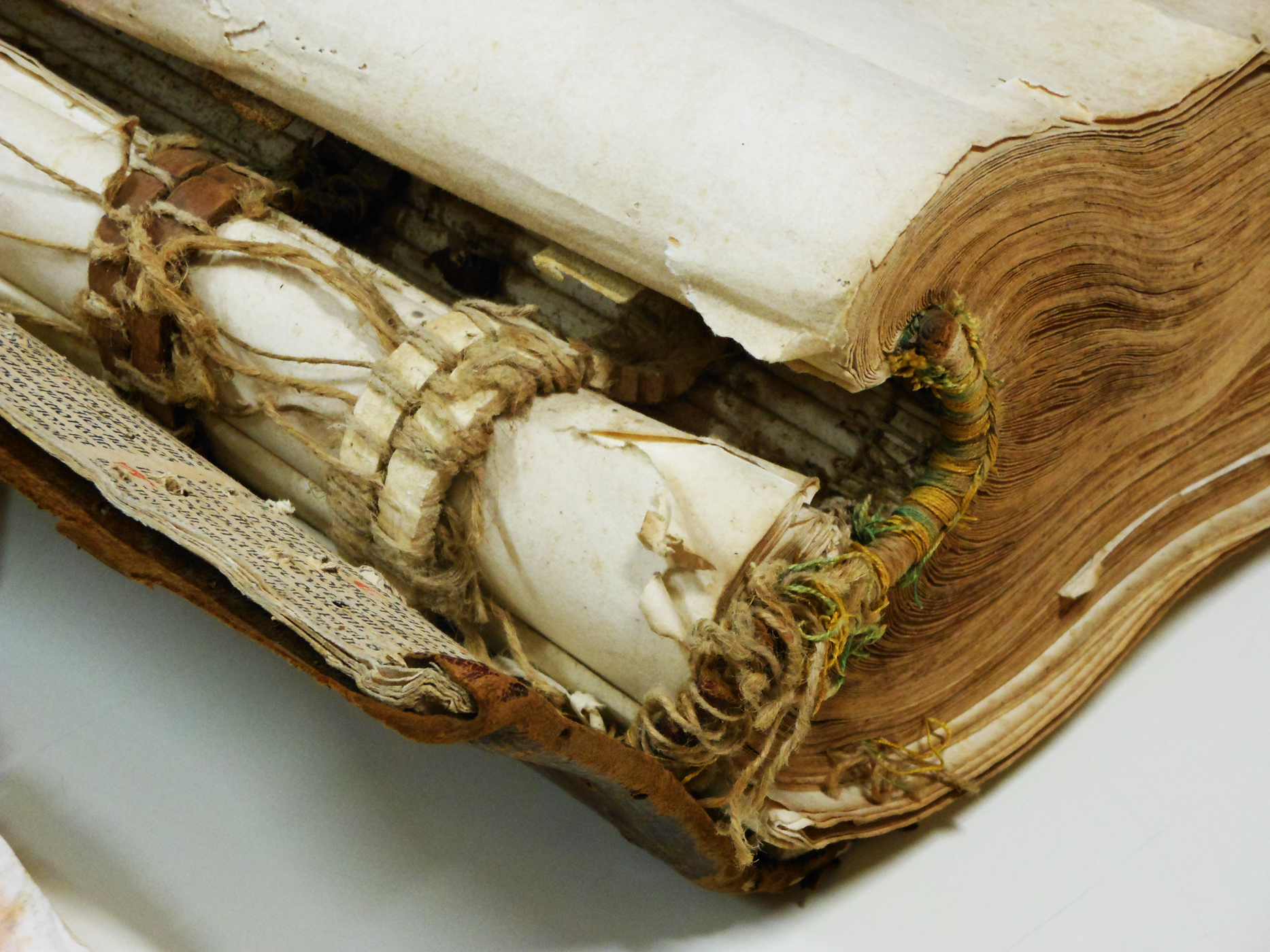 Book and Paper Restoration Programs San Gemini Preservation Studies